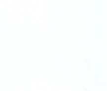 white color